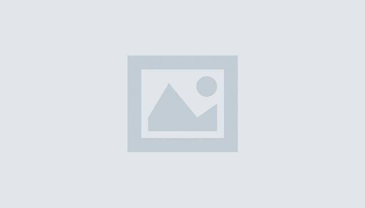 Single post (Demo) - Fran DeFeo